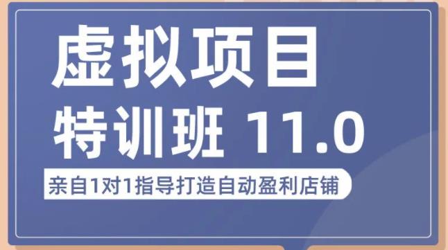 陆明明·虚拟项目特训班（10.0+11.0），0成本获取虚拟素材，0基础打造自动盈利店铺-摸金项目网