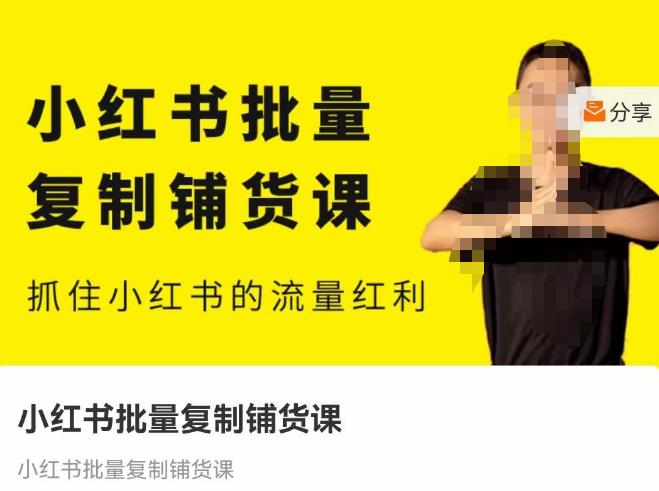 张宾·小红书批量复制铺货课，抓住小红书的流量红利 （更新2023年2月）-摸金项目网