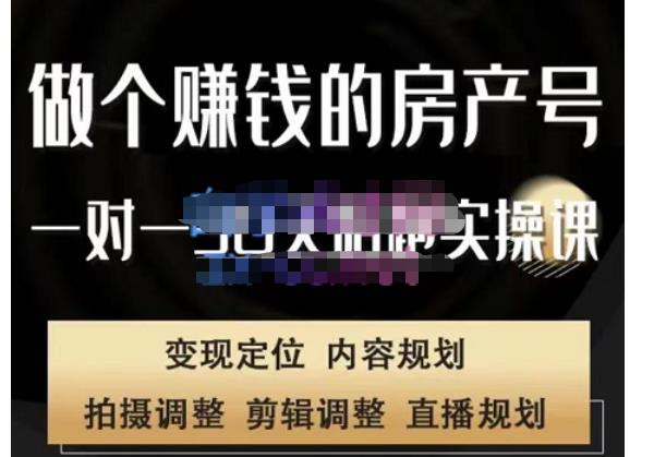 刘广标·同城房产号线上陪跑课，拍摄、剪辑、写文案、直播，做一个具有潜力价值的房产号-摸金项目网