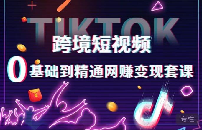 跨境短视频TIKTOK 0基础到精通网赚变现套课，跨境短视频独立站带货变现技巧-摸金项目网