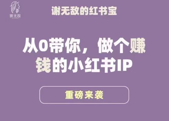 谢无敌·小红书运营大宝典，从0带你做个赚钱的小红书IP-摸金项目网