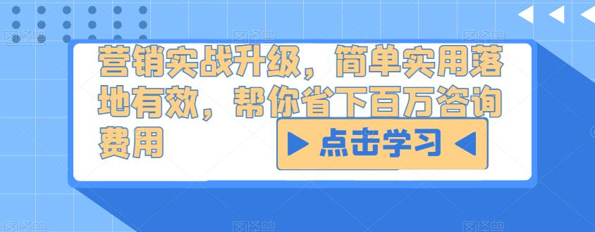 营销实战升级，简单实用落地有效，帮你省下百万咨询费用-摸金项目网