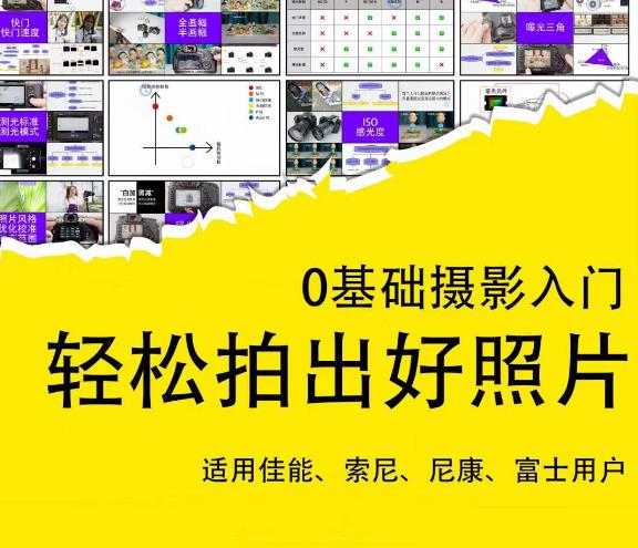 0基础摄影入门，轻松拍出好照片（适用佳能、索尼、尼康、富士用户）-摸金项目网