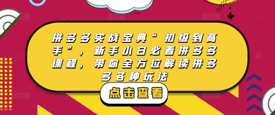 拼多多实战宝典“初级到高手”，新手小白必看拼多多课程，带你全方位解读拼多多各种玩法-摸金项目网