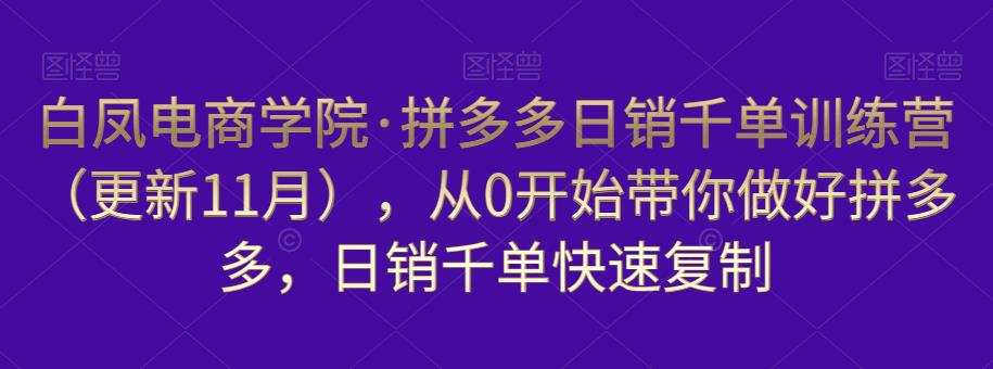 白凤电商学院·拼多多日销千单训练营，从0开始带你做好拼多多，日销千单快速复制（更新知2023年3月）-摸金项目网