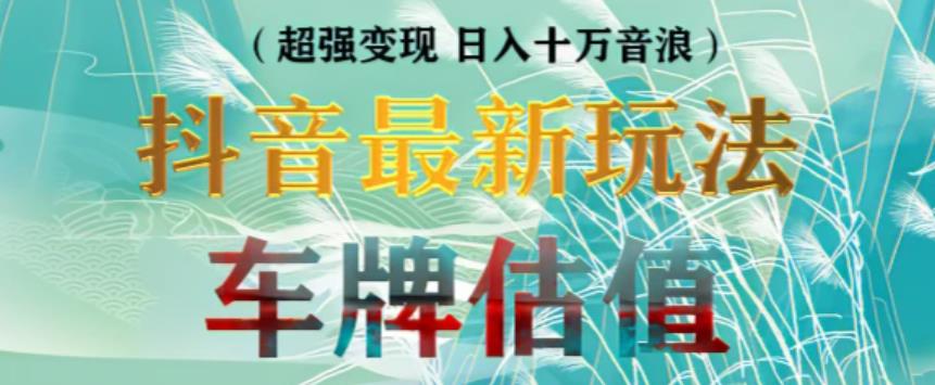 抖音最新无人直播变现直播车牌估值玩法项目，轻松日赚几百+【详细玩法教程】-摸金项目网