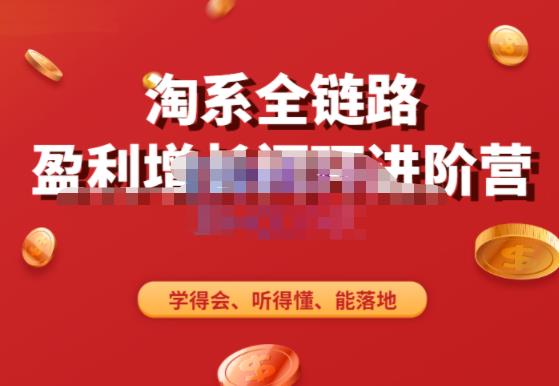 淘系全链路盈利增长闭环进阶营，融合全店动销，学得会、听得懂、能落地！-摸金项目网