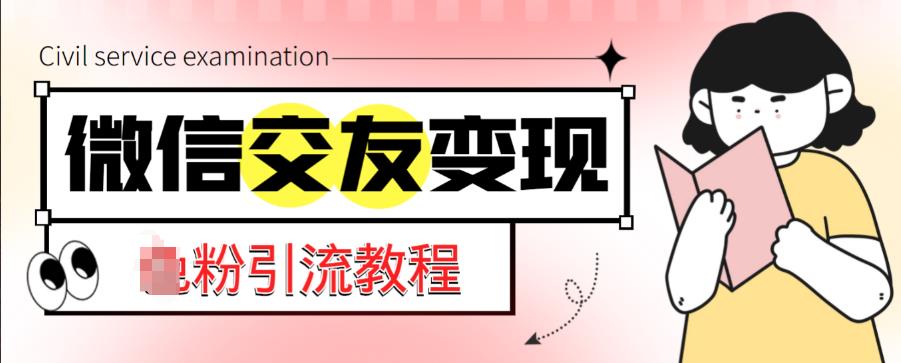 微信交友变现项目，吸引全网LSP男粉精准变现，小白也能轻松上手，日入500+-摸金项目网