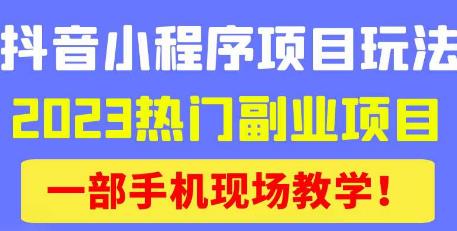 抖音小程序9.0新技巧，2023热门副业项目，动动手指轻松变现-摸金项目网