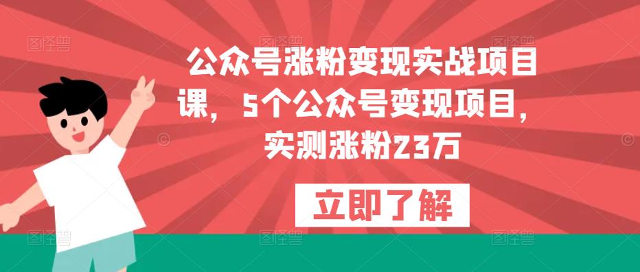 公众号涨粉变现实战项目课，5个公众号变现项目，实测涨粉23万-摸金项目网