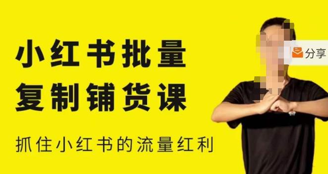 张宾·小红书批量复制铺货课，小红书0-1快速起号变现玩法，抓住小红书的流量红利（更新2023年3月）-摸金项目网