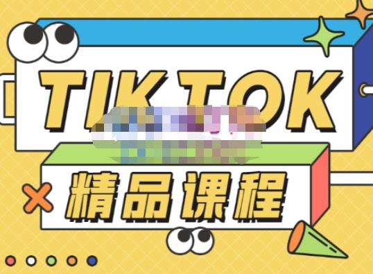 电商孵化中心·TikTok精品课程，教你玩转海外抖音，低成本创业，带您从0开始玩转TikTok-摸金项目网
