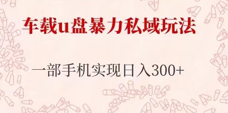 车载u盘暴力私域玩法，长期项目，仅需一部手机实现日入300+-摸金项目网