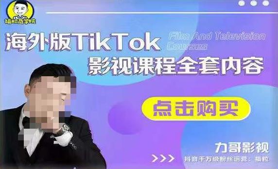 海外TikTok影视课程全套，从搭建渠道，到如何正确使用账号，到未来的变现渠道等-摸金项目网