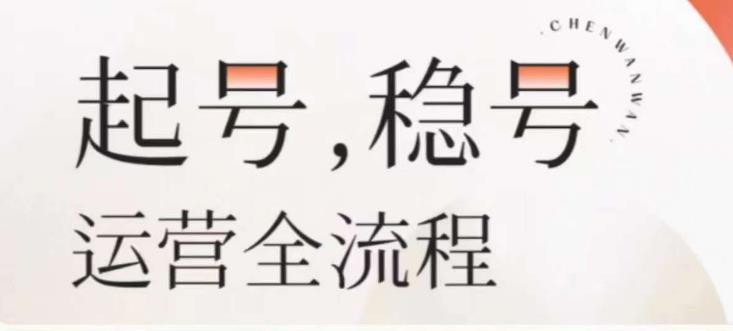 婉婉-起号稳号运营全流程，解决从小白到进阶所有运营知识，帮助解决账号所有运营难题-摸金项目网