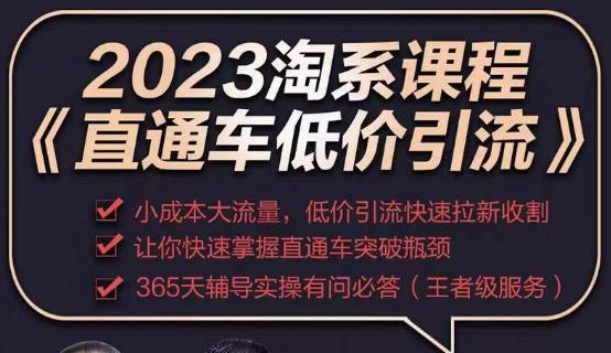 2023直通车低价引流玩法课程，小成本大流量，低价引流快速拉新收割，让你快速掌握直通车突破瓶颈-摸金项目网