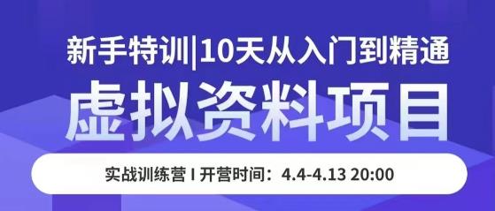虚拟资料项目新手特训，10天从入门到精通，保姆级实操教学-摸金项目网