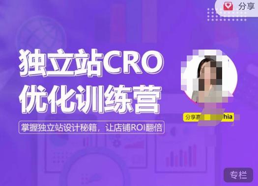 独立站CRO优化训练营，掌握独立站设计秘籍，打造高转化的独立站，让店铺ROI翻倍-摸金项目网