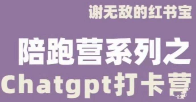 谢无敌ChatGPT打卡营，教你更好地使用ChatGPT来提高工作效率-摸金项目网