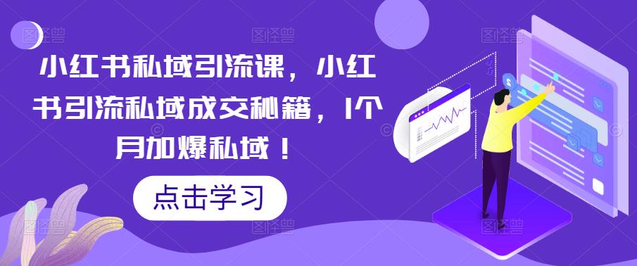 小红书私域引流课，小红书引流私域成交秘籍，1个月加爆私域！-摸金项目网