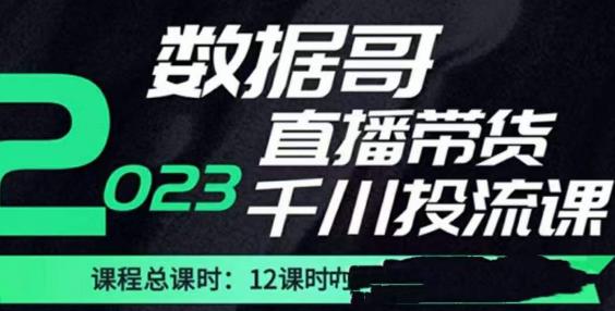 数据哥2023直播电商巨量千川付费投流实操课，快速掌握直播带货运营投放策略-摸金项目网