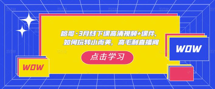 哈哥·3月线下实操课高清视频+课件，如何玩转小而美，高毛利直播间-摸金项目网