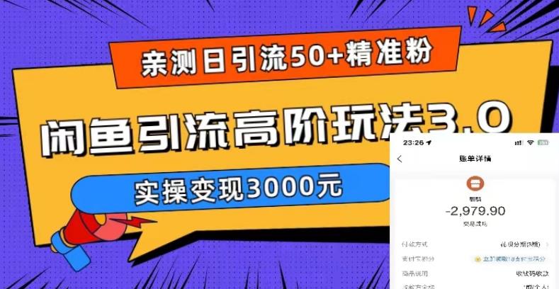 亲测日引50+精准粉，闲鱼引流高阶玩法3.0，实操变现3000元【揭秘】-摸金项目网