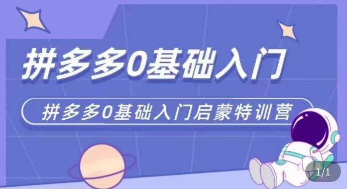 拼多多运营0-1实操特训营，拼多多0基础入门，从基础到进阶的可实操玩法-摸金项目网