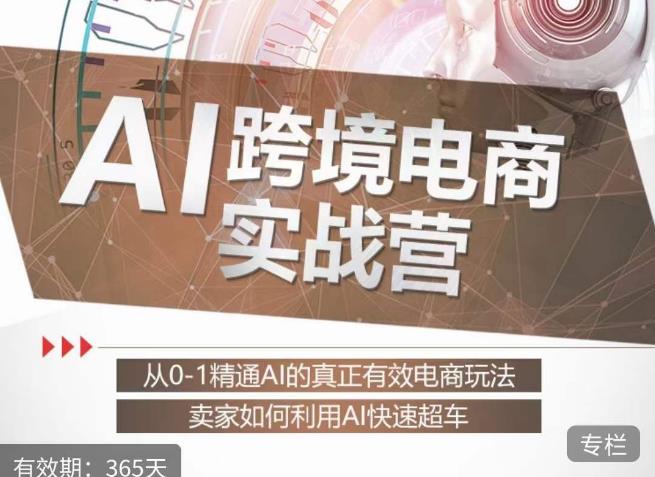 白龙老师·AI跨境电商实战营：从0-1精通Al的真正有效电商玩法，卖家如何利用Al快速超车-摸金项目网