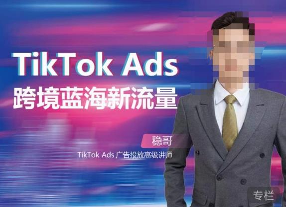 稳哥·如何投出高ROI的TikTok广告，开拓独立站卖家流量新蓝海-摸金项目网