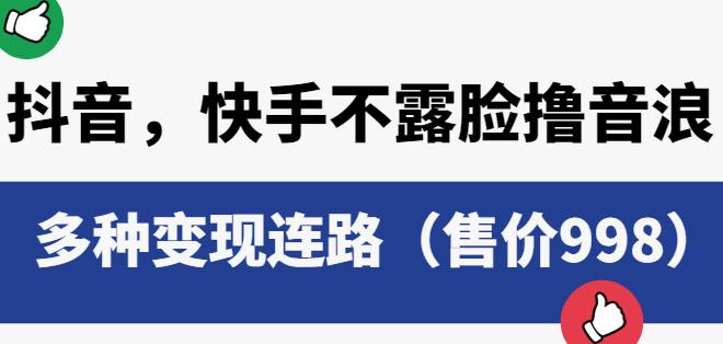 抖音快手不露脸撸音浪项目，多种变现连路（售价998）-摸金项目网