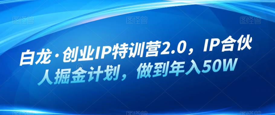 白龙·创业IP特训营2.0，IP合伙人掘金计划，做到年入50W-摸金项目网