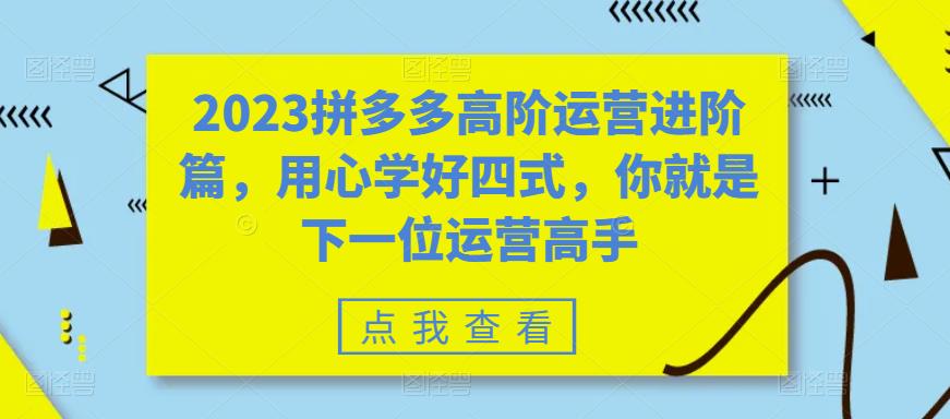 2023拼多多高阶运营进阶篇，用心学好四式，你就是下一位运营高手-摸金项目网