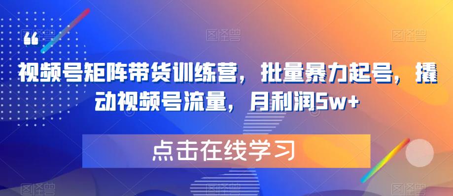 视频号矩阵带货训练营，批量暴力起号，撬动视频号流量，月利润5w+-摸金项目网
