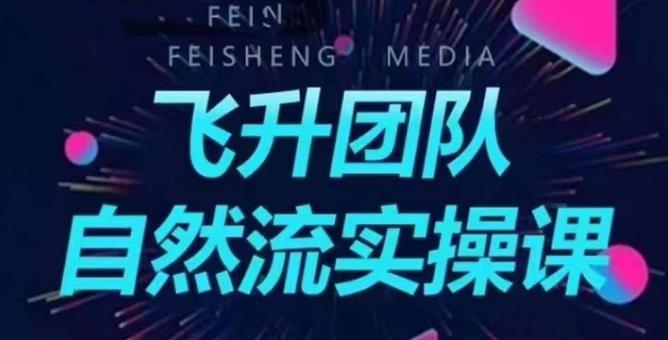 飞升团队课程自然流实操课，抖音半无人起号主播间搭建教学-摸金项目网