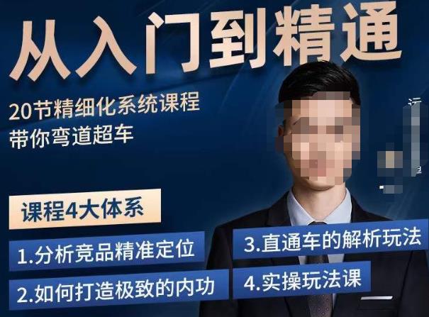 龙一·从入门到精通拼多多运营系列课，0-100的运营实操技巧，精细化系列课程带你弯道超车-摸金项目网