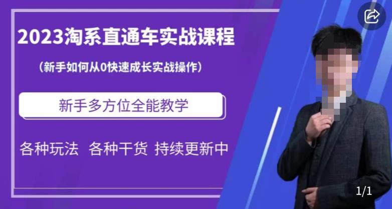2023淘系直通车保姆式运营讲解，新手如何从0快速成长实战操作，新手多方位全能教学-摸金项目网