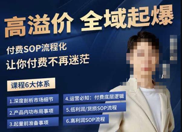 逸风-拼多多高溢价全域起爆，6大课程体系，付费玩法全套实操-摸金项目网