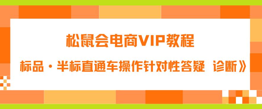 松鼠会电商VIP教程：松鼠《付费推广标品·半标直通车操作针对性答疑&诊断》-摸金项目网