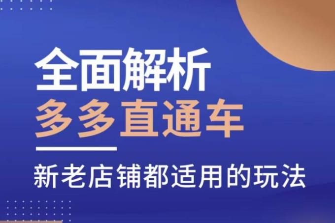 全面解析多多直通车，​新老店铺都适用的玩法-摸金项目网