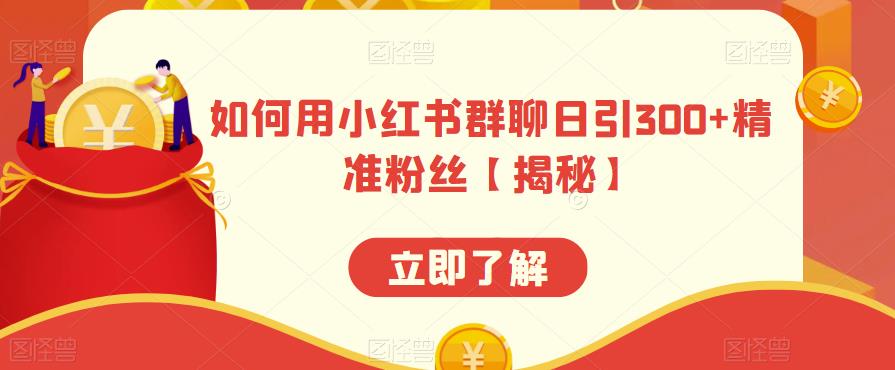 如何用小红书群聊日引300+精准粉丝【揭秘】-摸金项目网