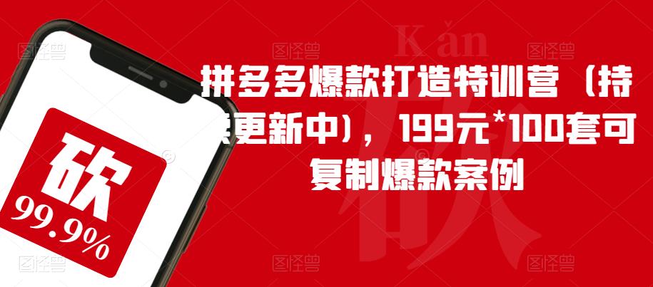 拼多多爆款打造特训营（持续更新中)，199元*100套可复制爆款案例-摸金项目网
