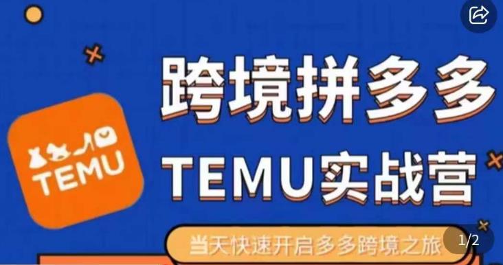大鹏出海·拼多多跨境temu运营指导，开店注册+选品+核价上架，日出千单实战课-摸金项目网