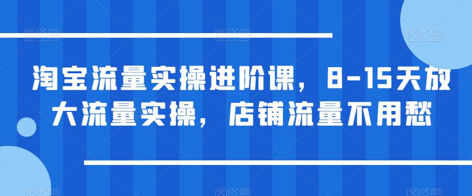 淘宝流量实操进阶课，8-15天放大流量实操，店铺流量不用愁-摸金项目网