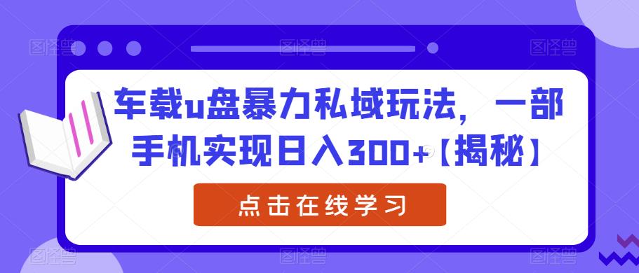 车载u盘暴力私域玩法，一部手机实现日入300+【揭秘】-摸金项目网