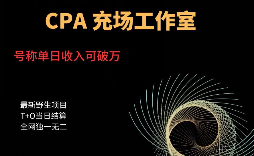 张子凡·20年实战经验，揭秘营销背后的底层逻辑，突破思维局限，从根本上破解营销难题-摸金项目网