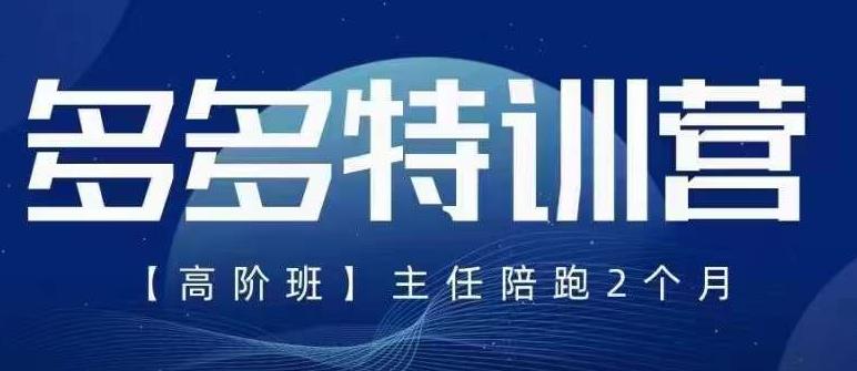 纪主任·5月最新多多特训营高阶班，玩法落地实操，多多全掌握-摸金项目网