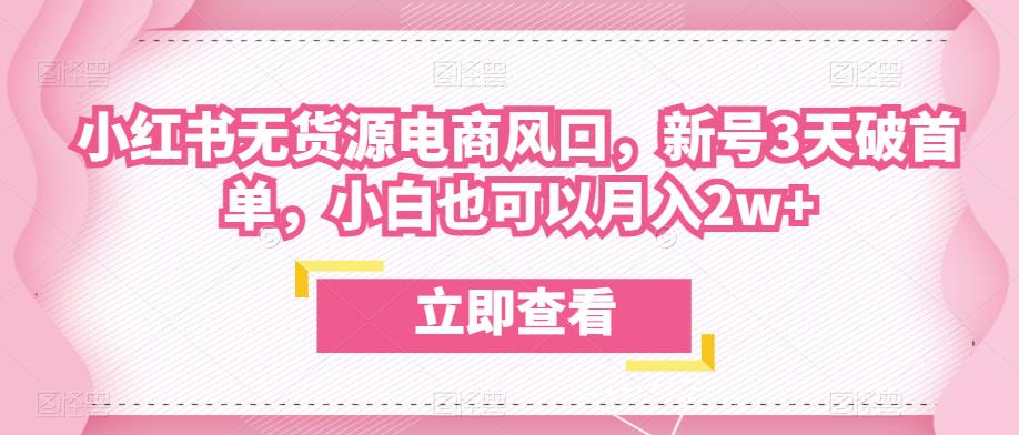 众狼电商余文小红书无货源电商风口，新号3天破首单，小白也可以月入2w+-摸金项目网