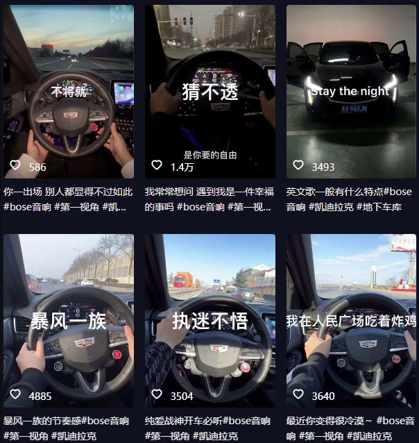 抖音开车视频项目，0基础操作，每天五分钟，月入1W+【揭秘】-摸金项目网