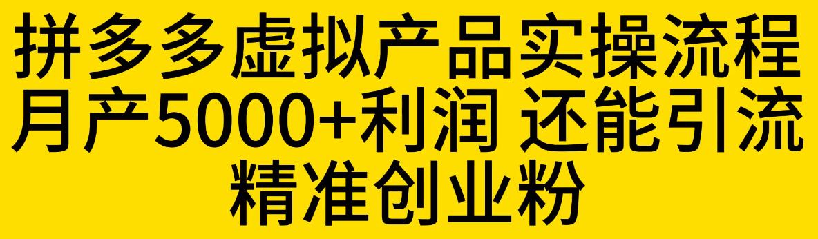 拼多多虚拟产品实操流程，月产5000+利润，还能引流精准创业粉【揭秘】-摸金项目网